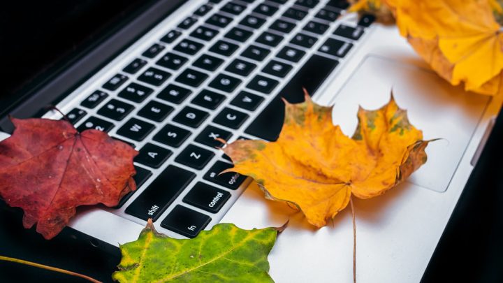 PHP 7 vs PHP 8: What Changed and Whether to Upgrade