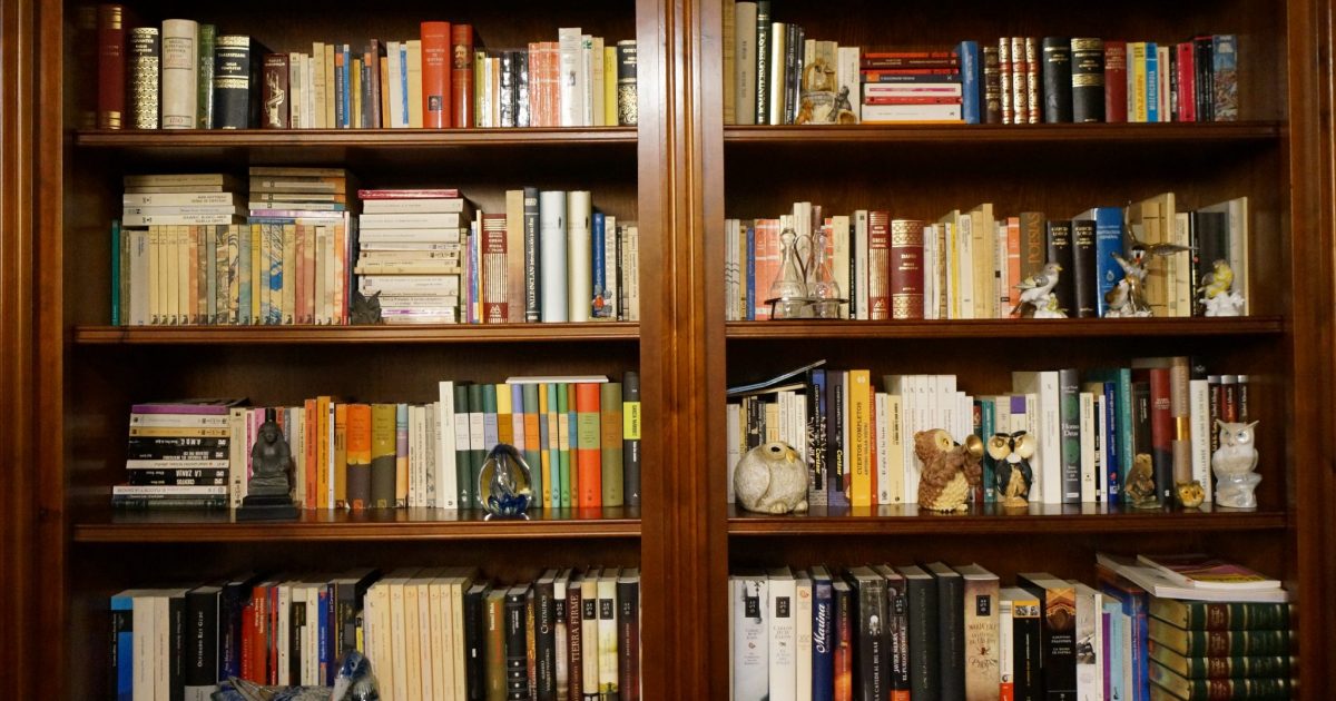 Wooden bookcase full of books