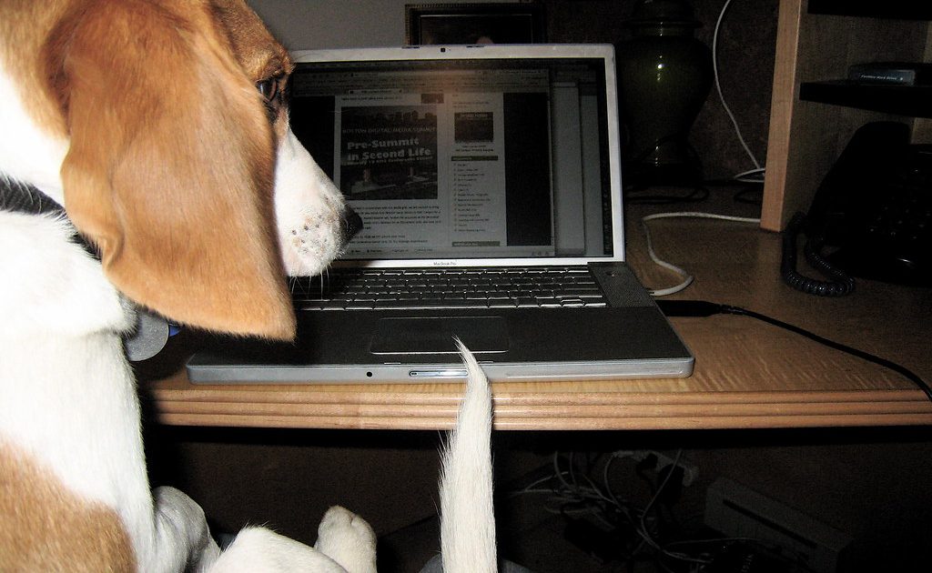 An open laptop on a wooden desk